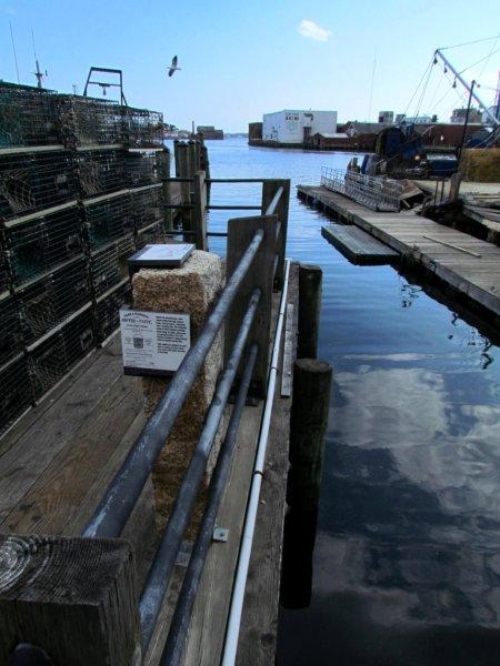 Photo Credit: Ann Breen